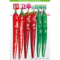 고추 씨앗 신와매워 30립 매운맛 강함 풋고추 홍고추 둘다 수확가능 다수확품 시장성 좋은 종자 고추파종 고추심기