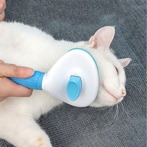 포메라니안 말티즈빗 웰시코기빗 시바견 비숑빗 고양이 털