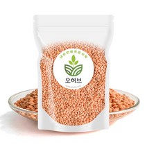 렌틸콩 렌즈콩 렌탈콩 레드 1kg, 없음