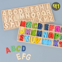 어린이집 유아 놀이용 알파벳 우드 블록 원목장난감블럭, 컬러