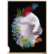 얼굴큰원숭이 DIY 보석십자수 취미 액자 캔버스형 세트 50X40, 금붕어40X60