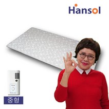 +본사+ 20년형 한솔 참사랑 초절전 전기매트 중형, 단품