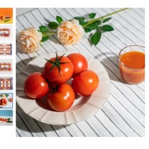 [백화점납품과일] 스테비아토마토 당일경매입고 방울토마토 매일경매입고 허니마토 한라봉마토 가정용 과일선물 고당도 프리미엄 / 가락시장, 망고맛 스테비아 방울토마토 500g