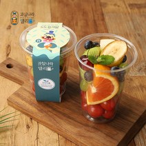[도도컵과일 LARGE] 대구단체도시락 수제샌드위치 대구지역 경북일부지역 직배송