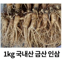 국내산 금산 인삼 수삼 가정용 인삼 5년근1kg (15-18뿌리), 1KG세척(o)