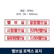 밸브실 포맥스 표지 소방 안전 알람 프리액션 드라이 시험 일제개방, 1.밸브실