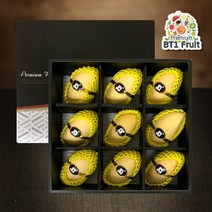 신세계 필리핀 생망고 프리미엄 선물세트 (L/9과)