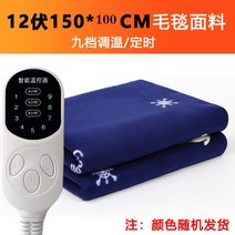 전기 장판 12V 24V 매트 캠핑 차박 여행용 온도조절 9단 스마트 조절 스위치 차량용 2인용 색상랜덤, 12V 150cmX100cm 9단 스마트조절