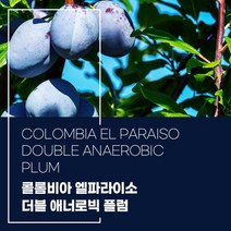 (커피생두) 228 콜롬비아 엘파라이소 더블 애너로빅 플럼 1kg, 1개