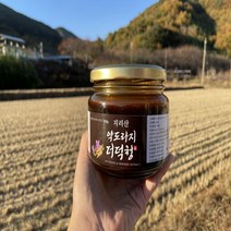 지리산동의촌 지리산동의촌 6년 장수 약도라지 도라지 더덕청500g (6273641), 약도라지더덕청