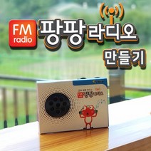 팡팡 FM 라디오 만들기, 상세페이지 참조