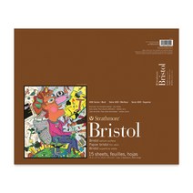 스트라스모아 smoth vellum 브리스톨지 2겹 23x30 28x36 35x43 46x61 / 15매, 46x61cm
