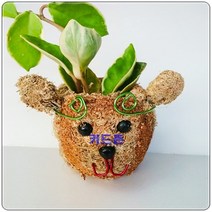 원숭이 토피어리재료 미니화분 체험학습 공기정화, 산타할아버지