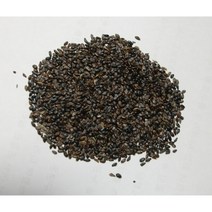 도라지씨앗 10 g