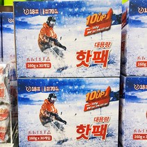 트레이더스 대용량 핫팩 160g X 30개입, 단품