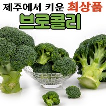 (최상품) 국산콜리플라워 국내산 국산 제주 생 콜리플라워 컬리플라워 브로콜리 3kg 5kg 10kg, (4) 제주특산품 브로콜리 3kg