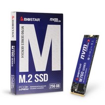 바이오스타 M760 256GB 이엠텍