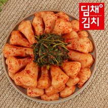 딤채식품 건강담은 총각김치 3kg, 단품