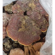 원헬스 야생자연산영지 1K 국내산100% 정품진품 특산품 건조영지