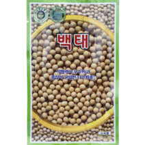 백태콩씨앗 백태 텃밭 주말농장 콩 씨앗