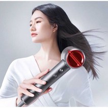 여행용 드라이기 바버샵 강풍 컬링 호텔 캠핑 강아지, 블루