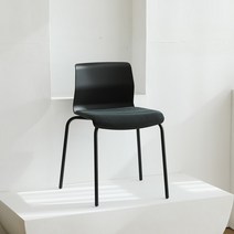 린백 LB217S 감성 컬러 다이닝체어 카페 식탁 인테리어 의자, LB217BS-블랙