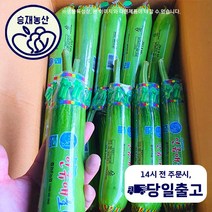 승재농산 국내산 애호박 호박 인큐애호박 상등급 특등급 20개입, 상등급20개입(1박스), 1개