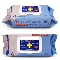 클린19 소독티슈 고함량 에탄올 75% 살균 세정 100매 2팩, 100매입