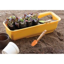 긴사각 좁은곳 도시농부 텃밭가꾸기 베란다 화분 상추기르기 우리집채소 화단만들기, DAMDDA하우스팜 옐로우 흙추가하지않음