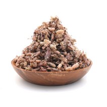 건꼴뚜기 말린 꼴뚜기 1kg 국산 마른 꼴뚜기, 500g, 1개