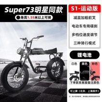 전기스쿠터 삼륜바이크 간편한운동 배달용 전동자전거, 25AH, 48V