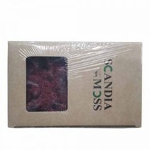 천연이끼 스칸디아모스 버건디(150g) - 공기정화 기능 관리쉽고 그늘에서도 잘 자라는 인테리어 식물 취미 원데이 클래스 디퓨저 화분 만들기(4개 이상 주문배송)