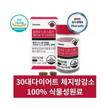 [체지방감소] 콜레우스포스콜리 체지방컷 다이어트 60정