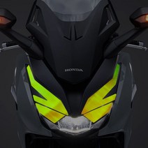 포르자 라이트필름 스티커 포르자350튜닝, 형광(카멜레온)