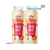 설빙 자몽에이드 과즙음료 250ml 12개 1박스