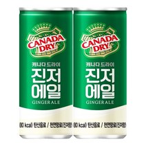 캐나다드라이 진저에일, 250ml, 40개