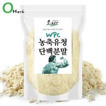 오허브 농축유청단백질 분말 WPC 500g 단백질 프로틴 보충제 쉐이크 웨이, 농축유청단백질 500g