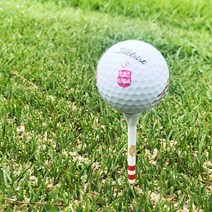 볼마커 골프공스탬프 골프공도장 악세사리 캐디용품, 디자인랜덤, 기본박스, 검정