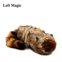 마술공연 장기자랑 록키 너구리 로비 트릭 무대 거리 환상 특수 효과 소품 이상한 봄, 없음