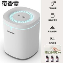 초음파가습기 무소음 사무실 무중력 대용량 세척쉬운 소형 건조 캠핑 신생아 무드등 미니 안방, 5L 대용량 + 무드등 + 듀얼 미스트 + 디퓨저 3병