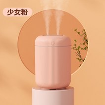 어메이징 듀얼미니가습기 미스트 탁상용 차량 초음파 사무실 휴대용 책상 여행용, 핑크