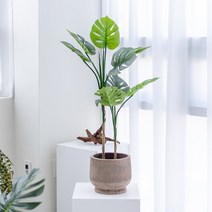 [쏘굿] BEST 생화같은 조화나무, 몬스테라 110cm