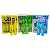 담쟁이가든 하이포넥스 앰플 3종 모음집 관엽 리키다스 레이쇼