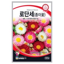로단세 씨앗 300립 A0270