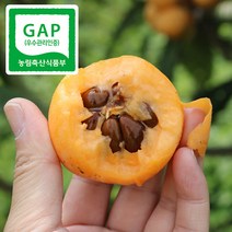 강진농장 GAP인증 완도 비파 열매, 1box, 2kg