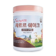 사르르 요요철벽방어 단백질 쉐이크 초코맛, 1개, 520g