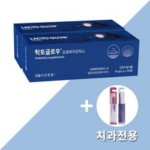 덴티스 락토글로우 구강유산균 성인 프로바이오틱스 치과전용칫솔 사은품, 2개