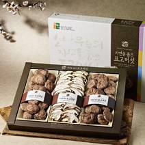 혼합버섯세트5호(동고130g*2 표고절편80g), 1세트
