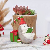 ROOGO 루고 화분 고슴도치의 크리스마스 독서를 해요