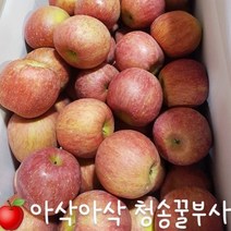 청송 산지 햇부사!!! 아~삭 새콤달콤한 부사 사과!!! 3kg / 5kg / 10kg, 꼬마사과 5kg(28~33개)